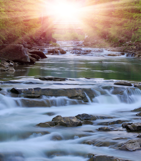 From Strength To Strength