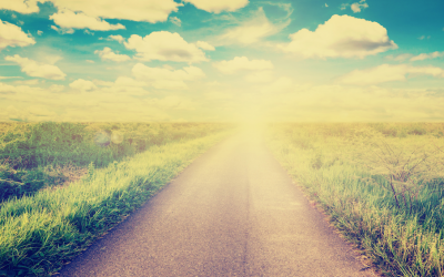 The Long Road Home