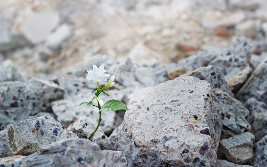 How Does Character Produce Hope?