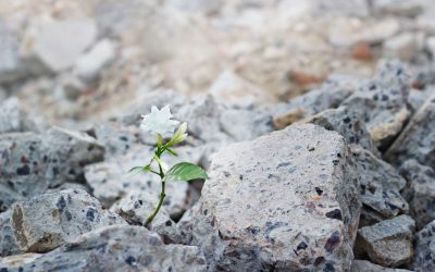How Does Character Produce Hope?
