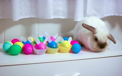 You are Not an Imposter