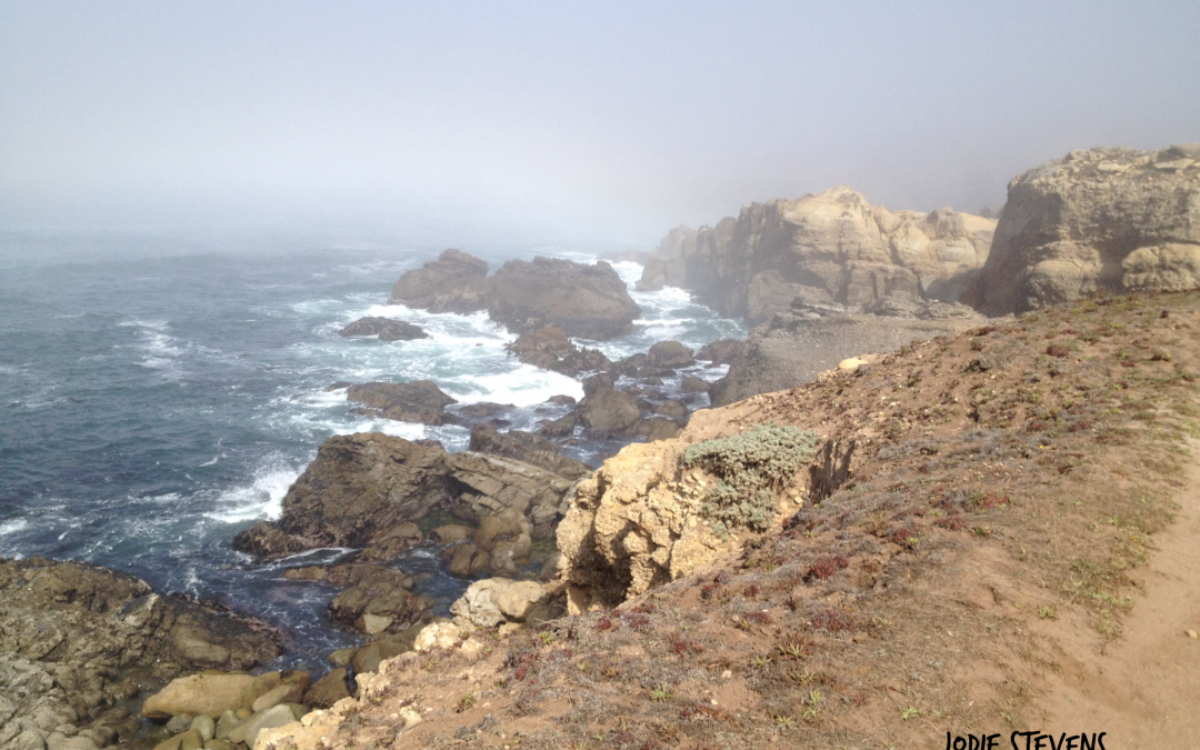 Why Do We Have Hope?