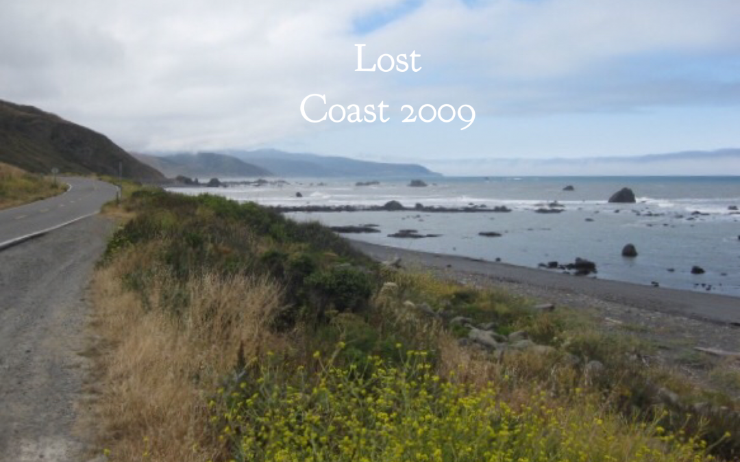 Confess and Be Blessed