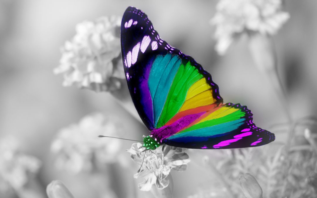 Sometimes our ‘Limitations’ are Gifts