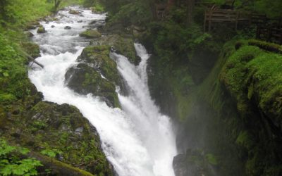 The Message in God’s Creation