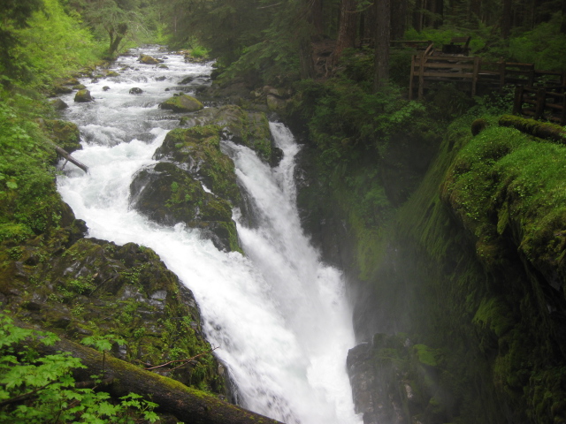 The Message in God’s Creation