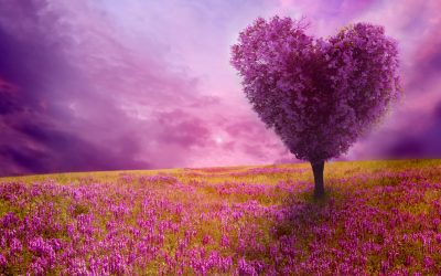 Love Really is all that Matters