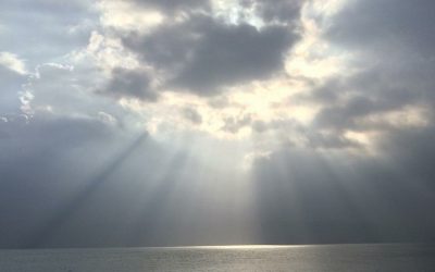 Put Your Faith in the Water Walker