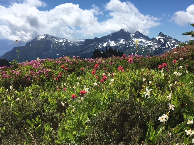 Your Whole New Life Can Begin Today