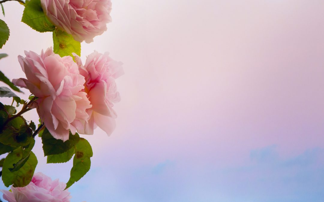 Contentment is Better than Euphoria