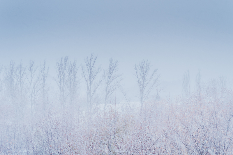 When the Depth of your Faith is Proven Through Pain