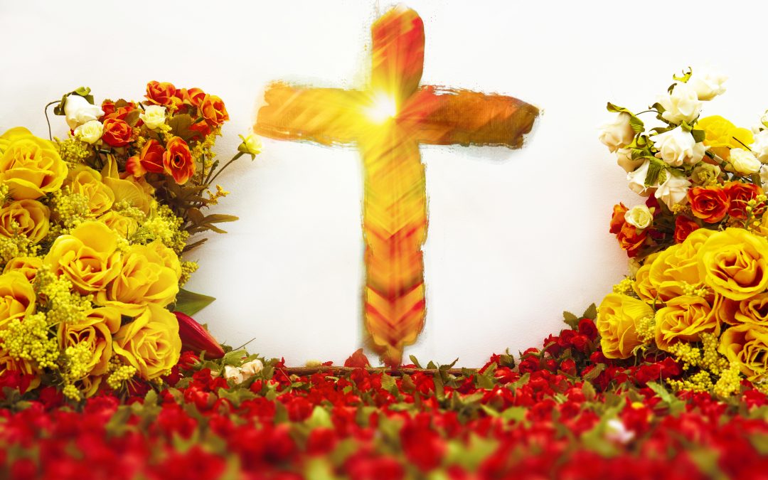 Everything You Need is Already Yours