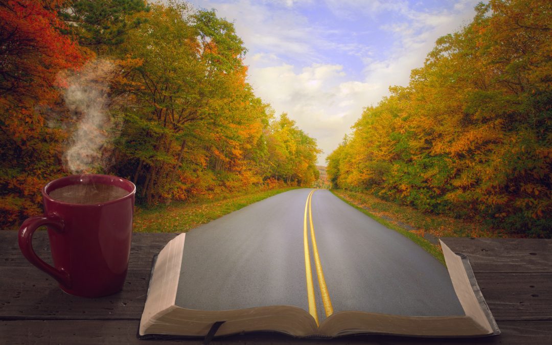 Join me on an Identity Exploration Journey