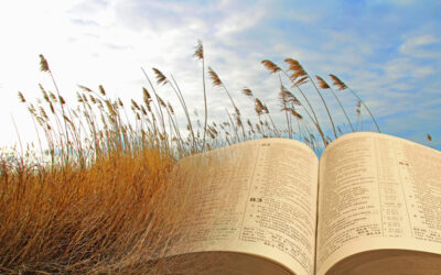 What Does it Mean to Live in the Kingdom of God?