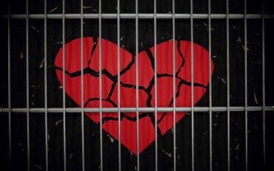 What is Codependency and is it an Addiction? (Episode 38)