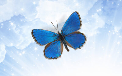 Why Meaning and Purpose is the Root of Life & Recovery (Episode 105)