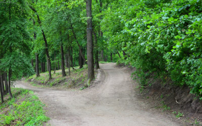 The Intersection of Trauma, Addiction, and Recovery