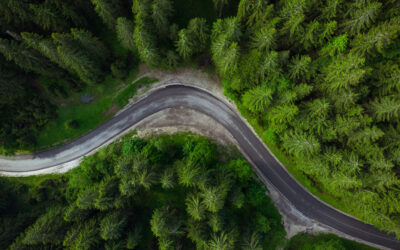 Navigating Purpose in the Landscape of Recovery